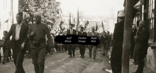 1800190_733774443337451_3013480586508179539_n-520x245-1