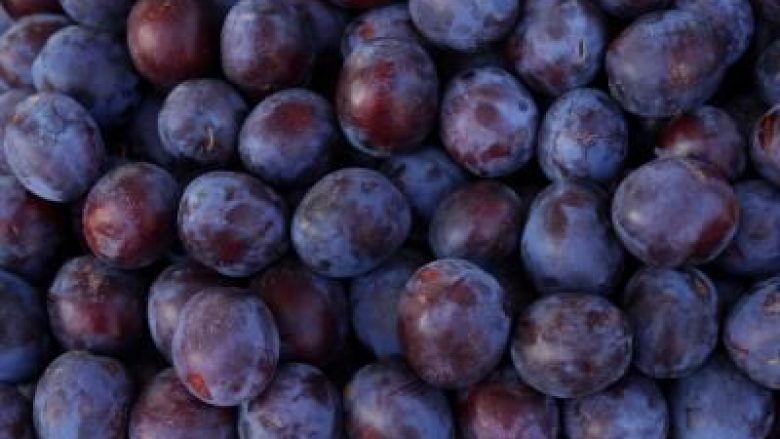0damson-780x439