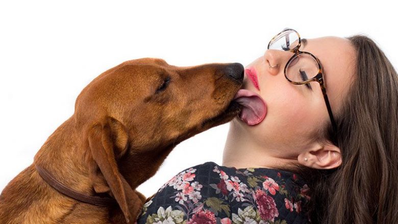 obsessive-dog-licking-780x439