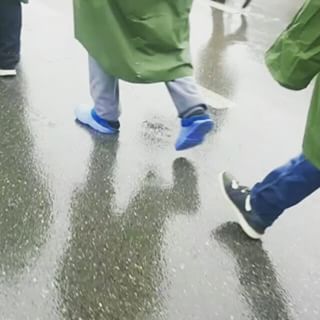 16789902_987439308057431_6341928011826200576_n