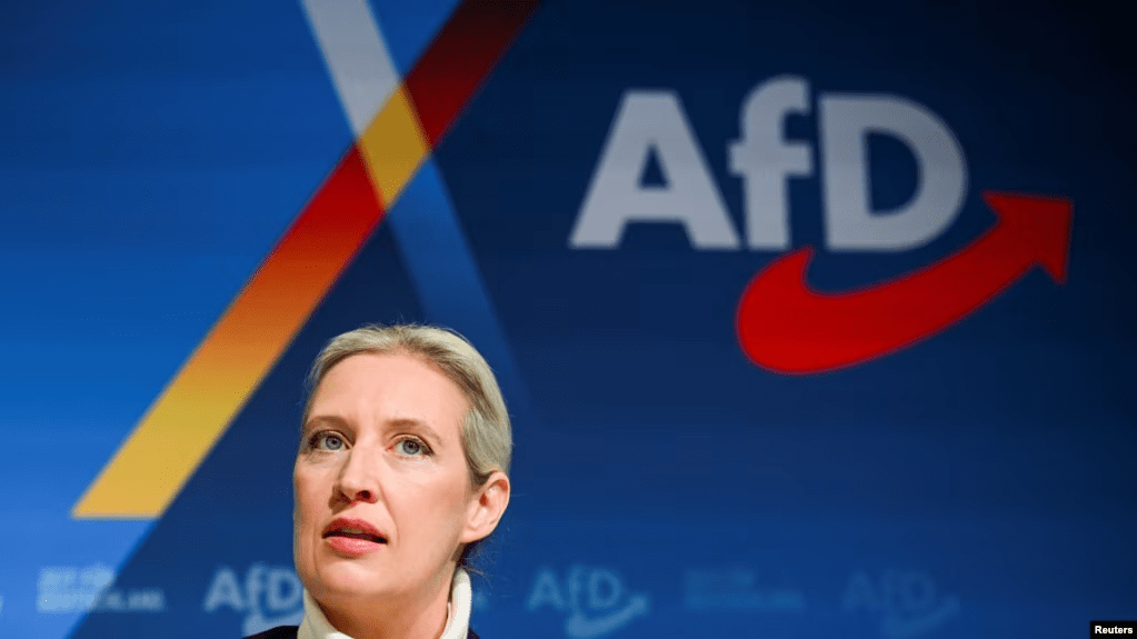 Reagime në Gjermani pasi Elon Musk shpreh mbështetjen për partinë e ekstremit të djathtë&nbsp;AfD