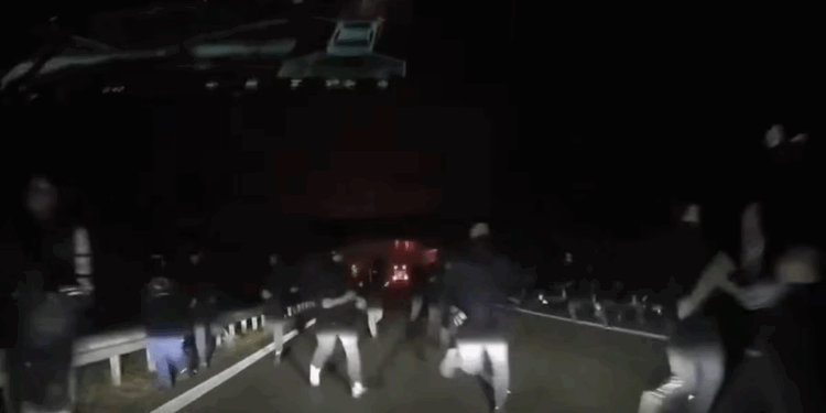 Pritë mes pyjeve në Poloni me hunj e dara: 10 tifozë të Rayo Vallecano në&nbsp;spital