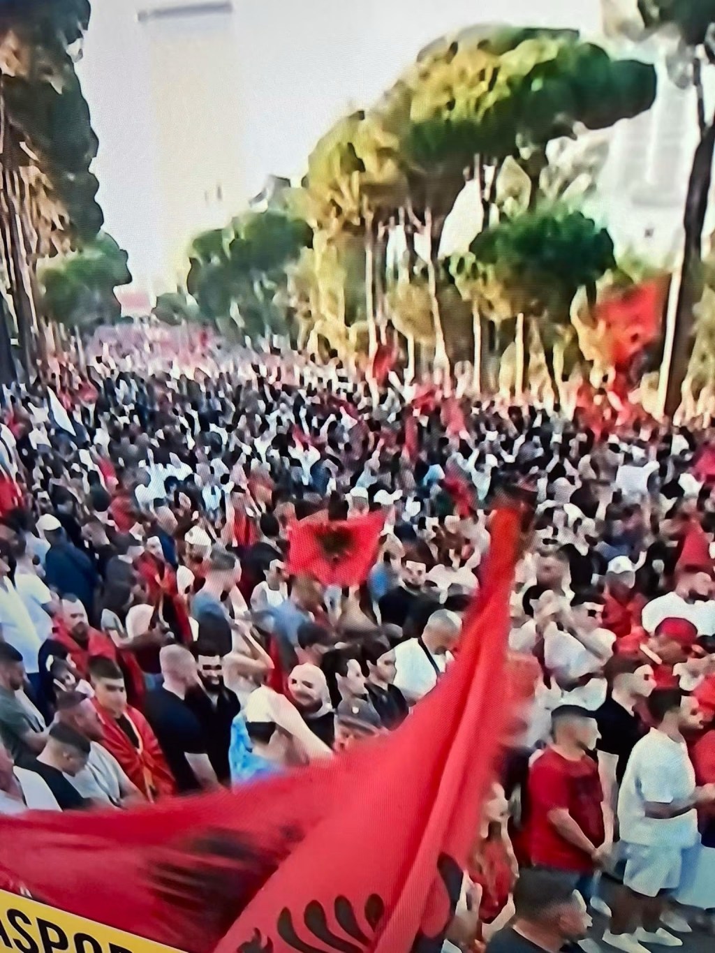 Njihuni me 3 anëtarë të ‘Revolucionit Flamingo’ të Shqipërisë që përpiqen të rrëzojnë një zhvillim të lidhur me&nbsp;Kushnerin